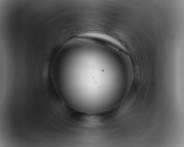 X0000089340221200706151049