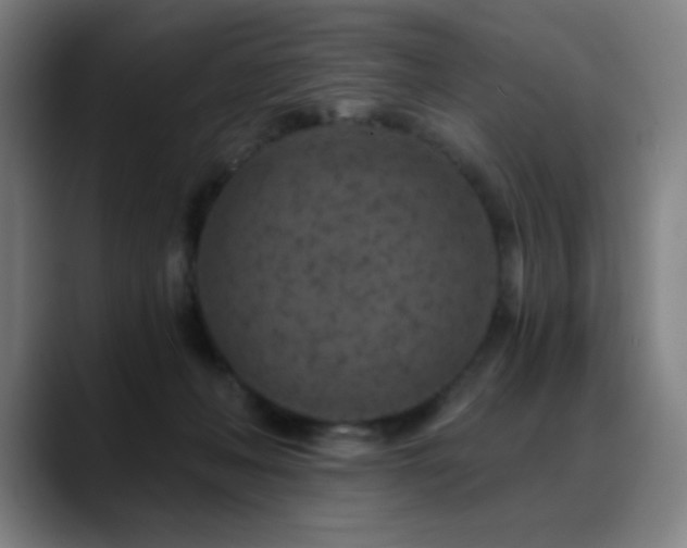 X0000089340222200706151049