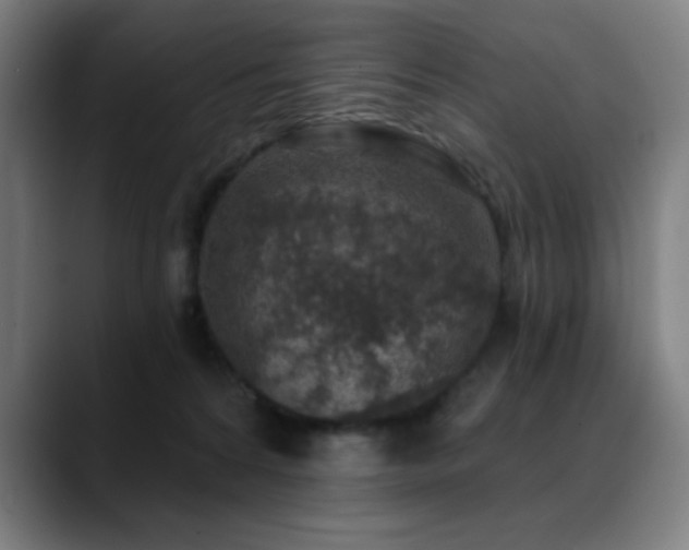 X0000089340224200706151049