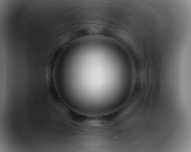 X0000089340228200706151049