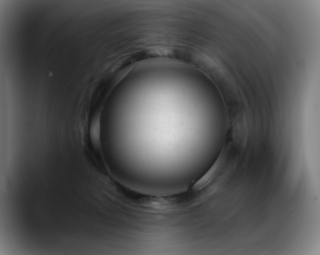X0000089340229200706151049