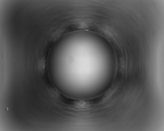 X0000089340230200706151049