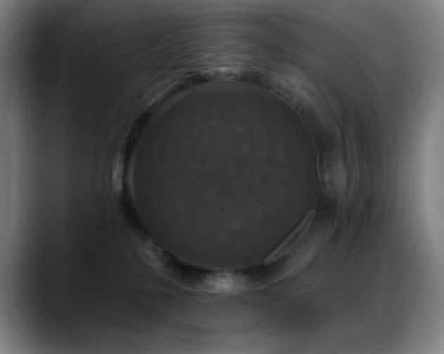 X0000089340231200706151049