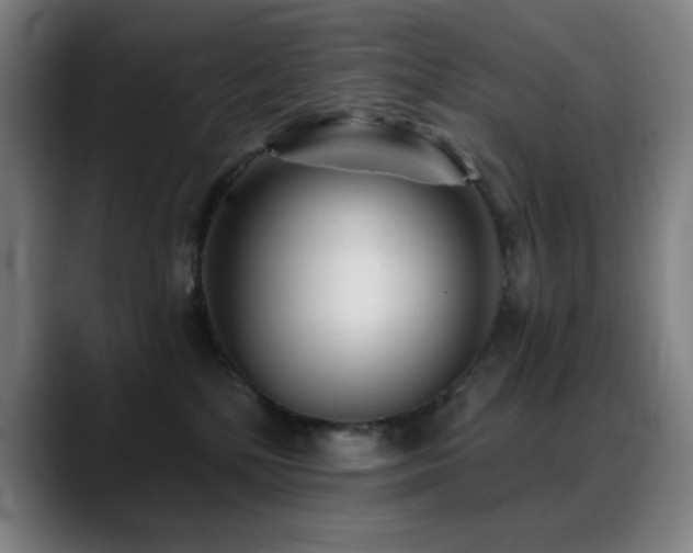 X0000089340232200706151049