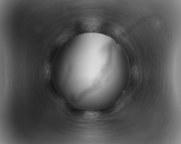 X0000089340234200706151049
