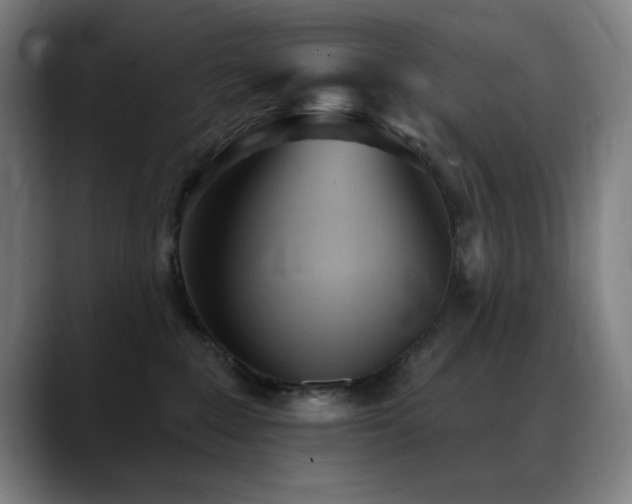 X0000089340235200706151049