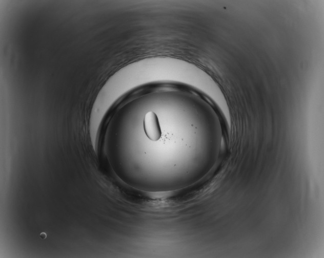 X0000089340237200706151049