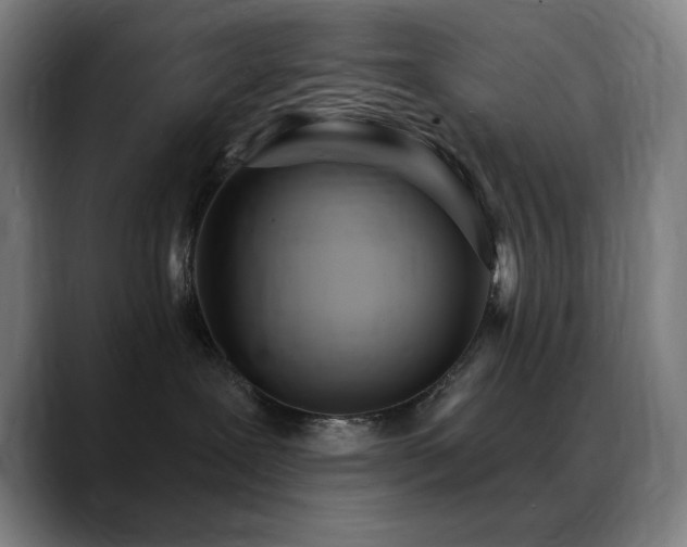 X0000089340239200706151049