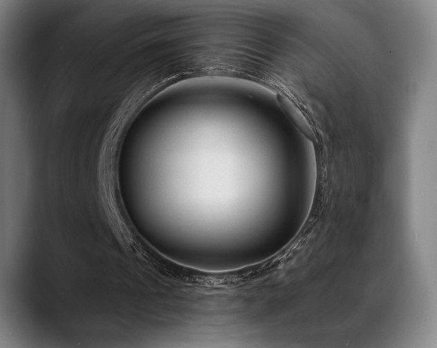 X0000089340241200706151048