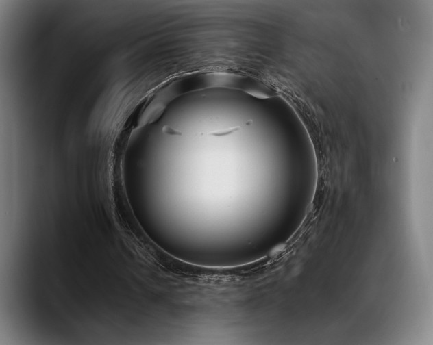 X0000089340242200706151048