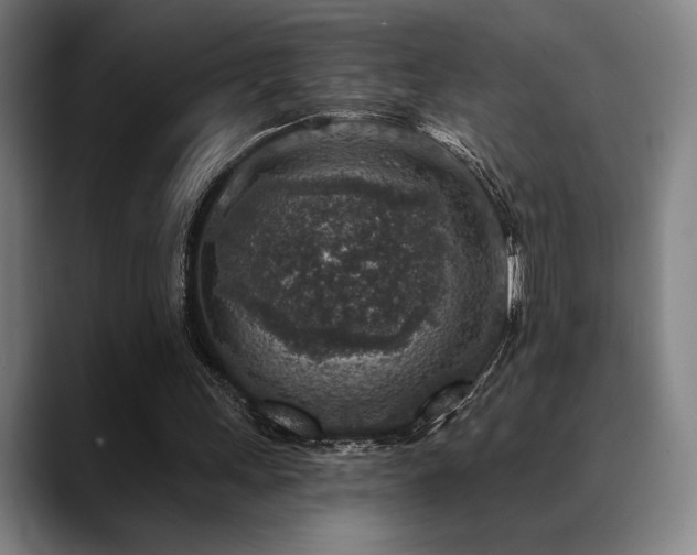 X0000089340243200706151048