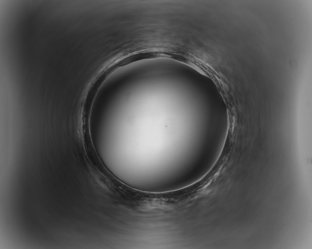 X0000089340244200706151048