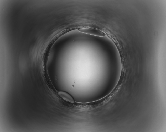 X0000089340245200706151048