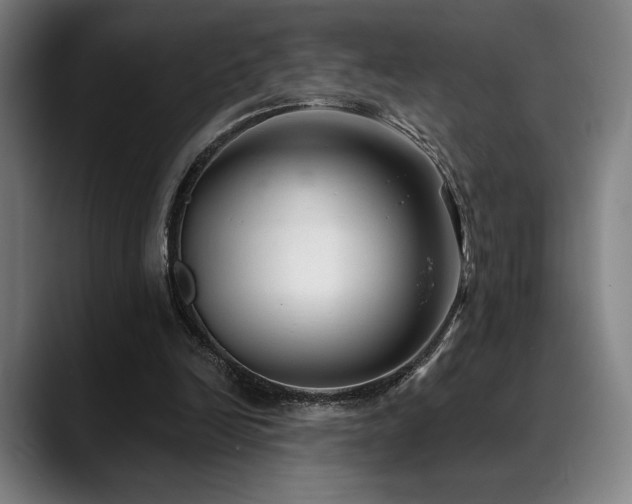 X0000089340246200706151048