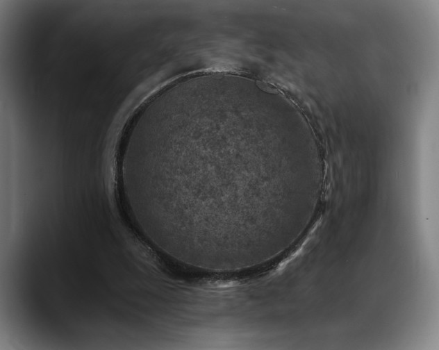 X0000089340247200706151048