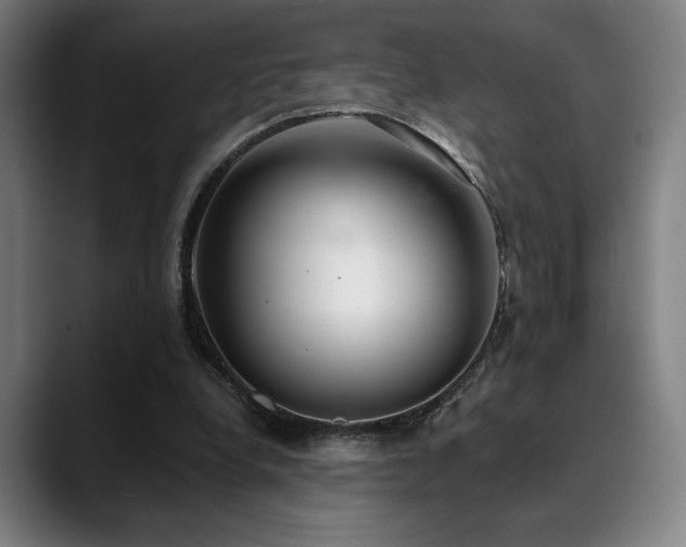 X0000089340248200706151048