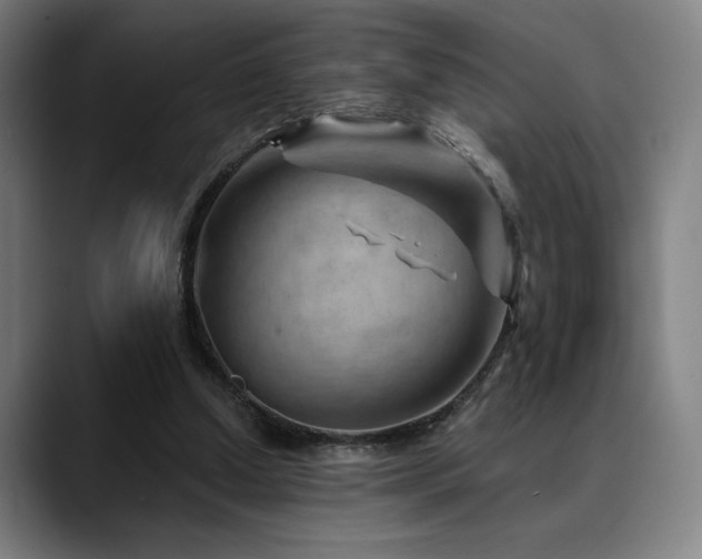X0000089340250200706151048