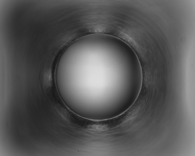 X0000089340251200706151048