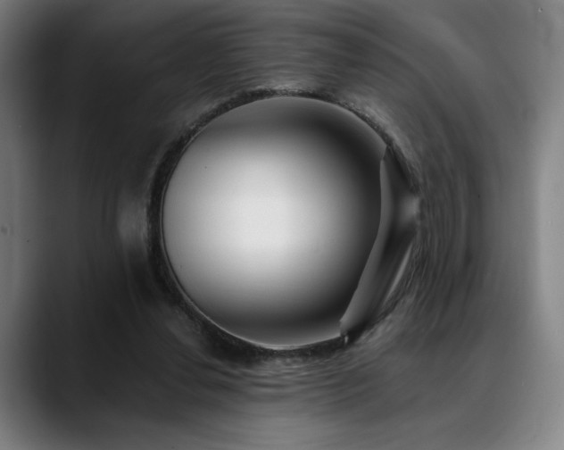X0000089340252200706151048