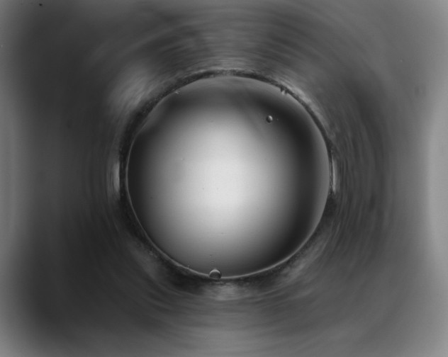 X0000089340253200706151048