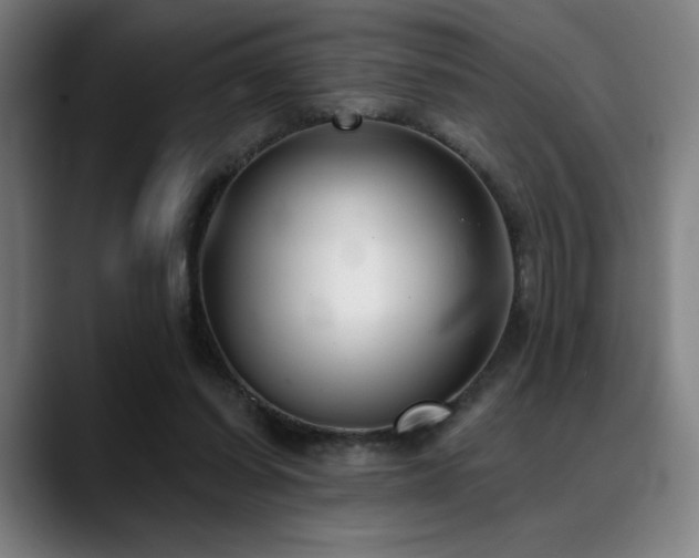 X0000089340254200706151048