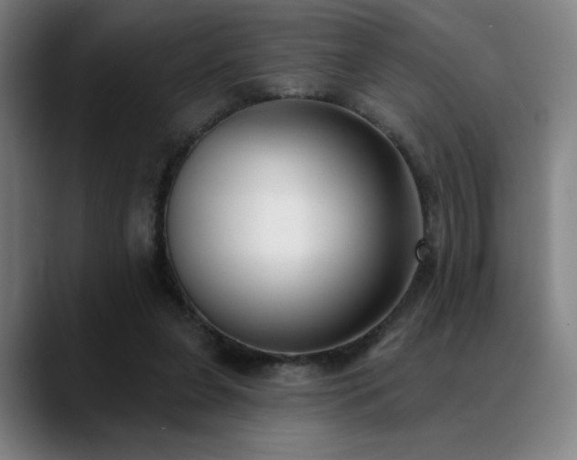 X0000089340255200706151048