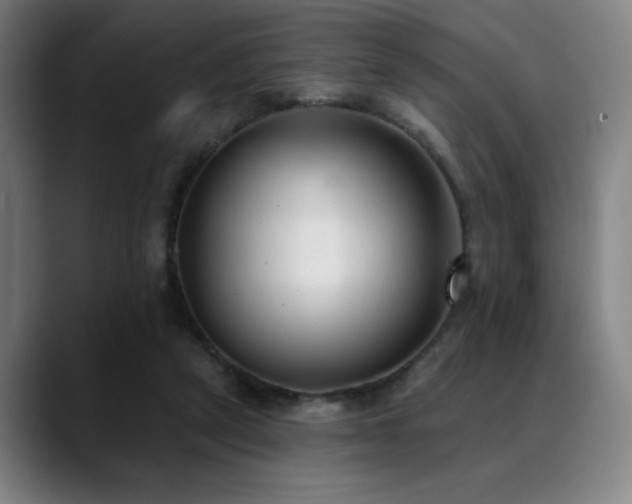 X0000089340257200706151048