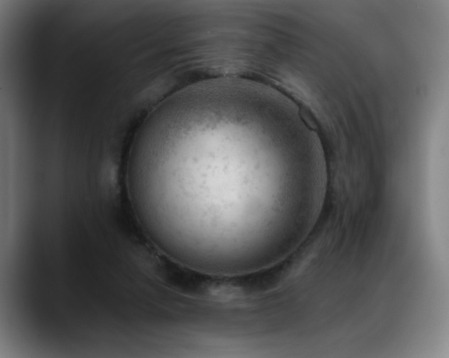 X0000089340258200706151048
