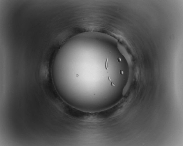 X0000089340259200706151048