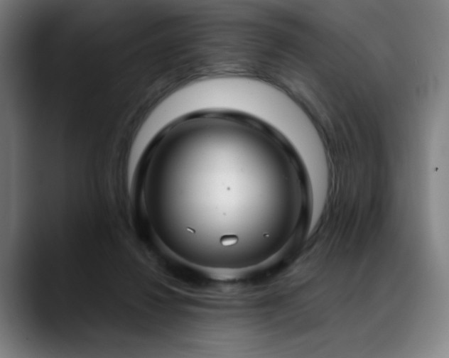 X0000089340260200706151048