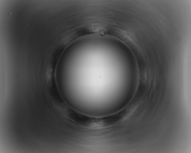 X0000089340263200706151049
