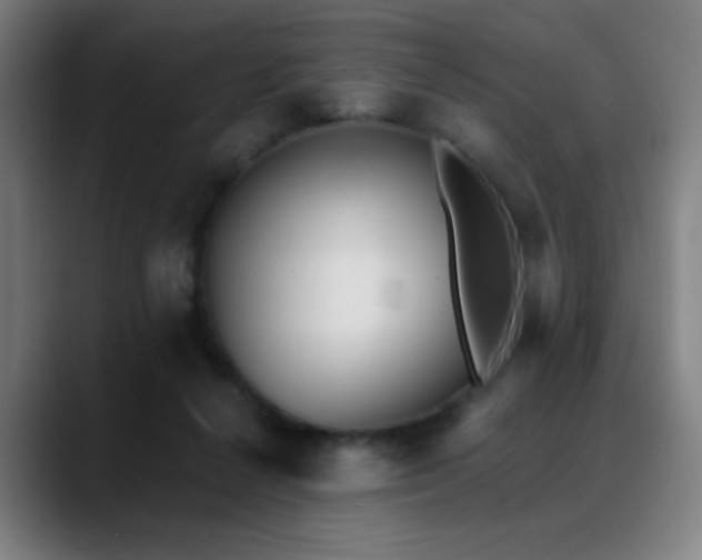 X0000089340264200706151049