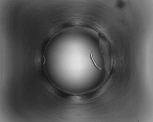 X0000089340265200706151049