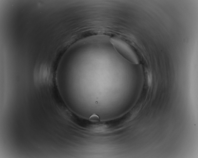 X0000089340266200706151049