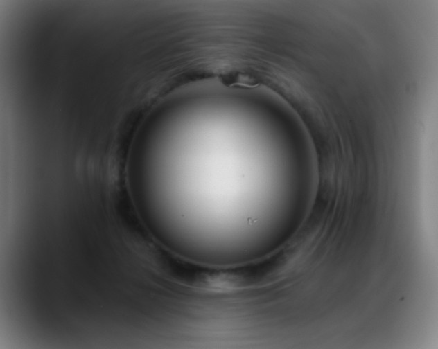 X0000089340268200706151049