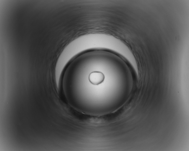 X0000089340272200706151049