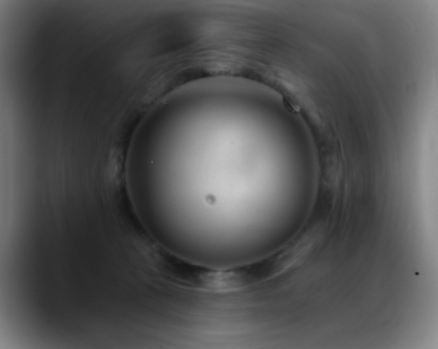 X0000089340273200706151049