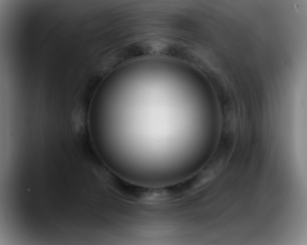 X0000089340274200706151049