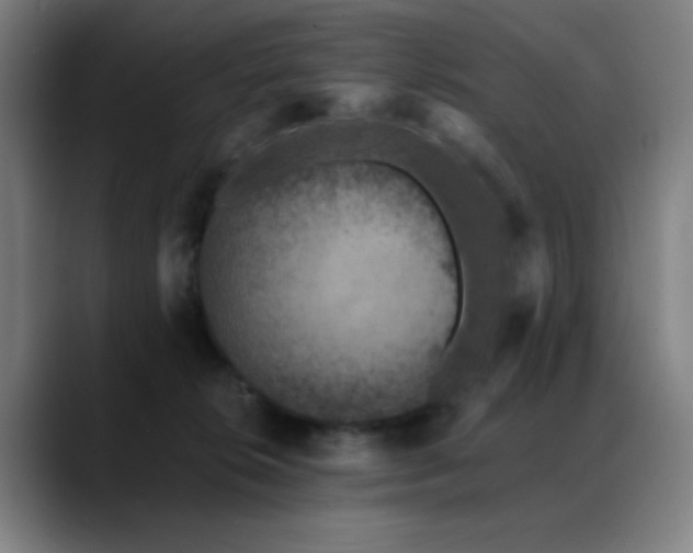 X0000089340276200706151049
