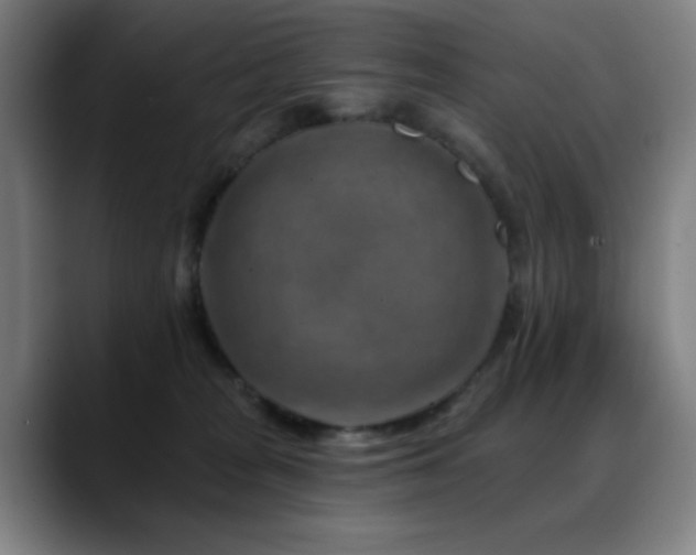 X0000089340277200706151049