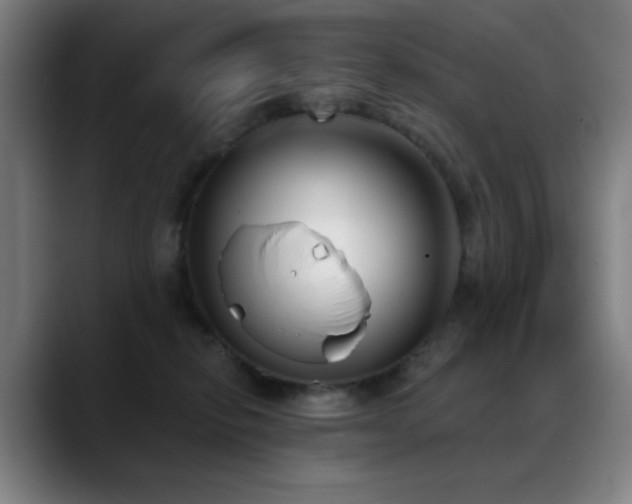 X0000089340278200706151049