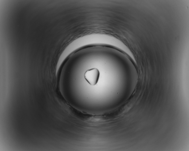 X0000089340280200706151049