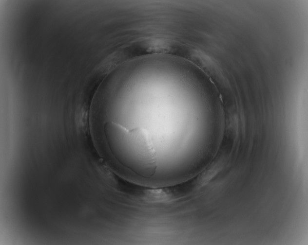 X0000089340281200706151049