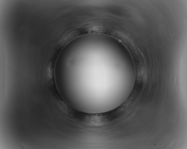 X0000089340282200706151049