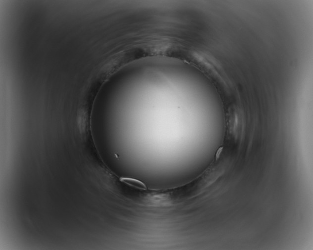 X0000089340283200706151049