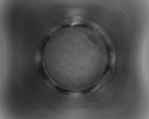 X0000089340284200706151049