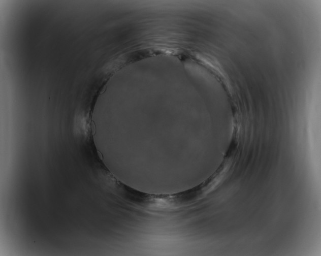 X0000089340285200706151049