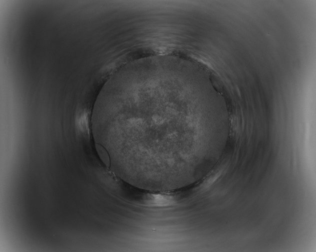 X0000089340286200706151049