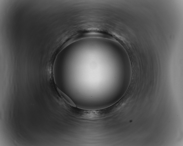 X0000089340288200706151049