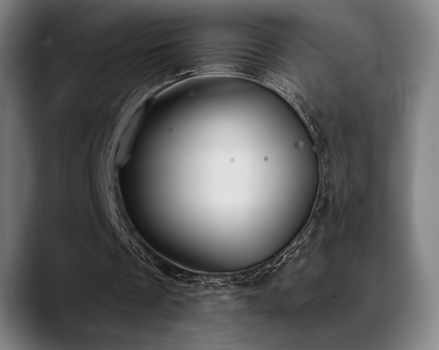 X0000089340289200706151048